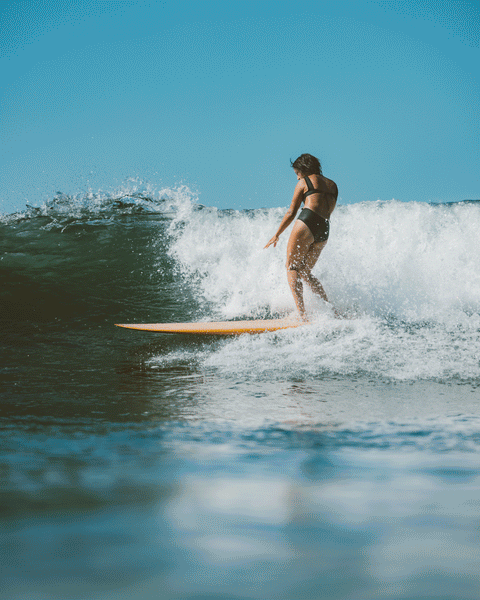 Surf Suit One Piece – VIva La Piña